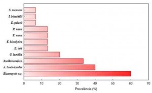 Art3_fig5_ingles