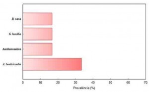 Art3_fig6_ingles